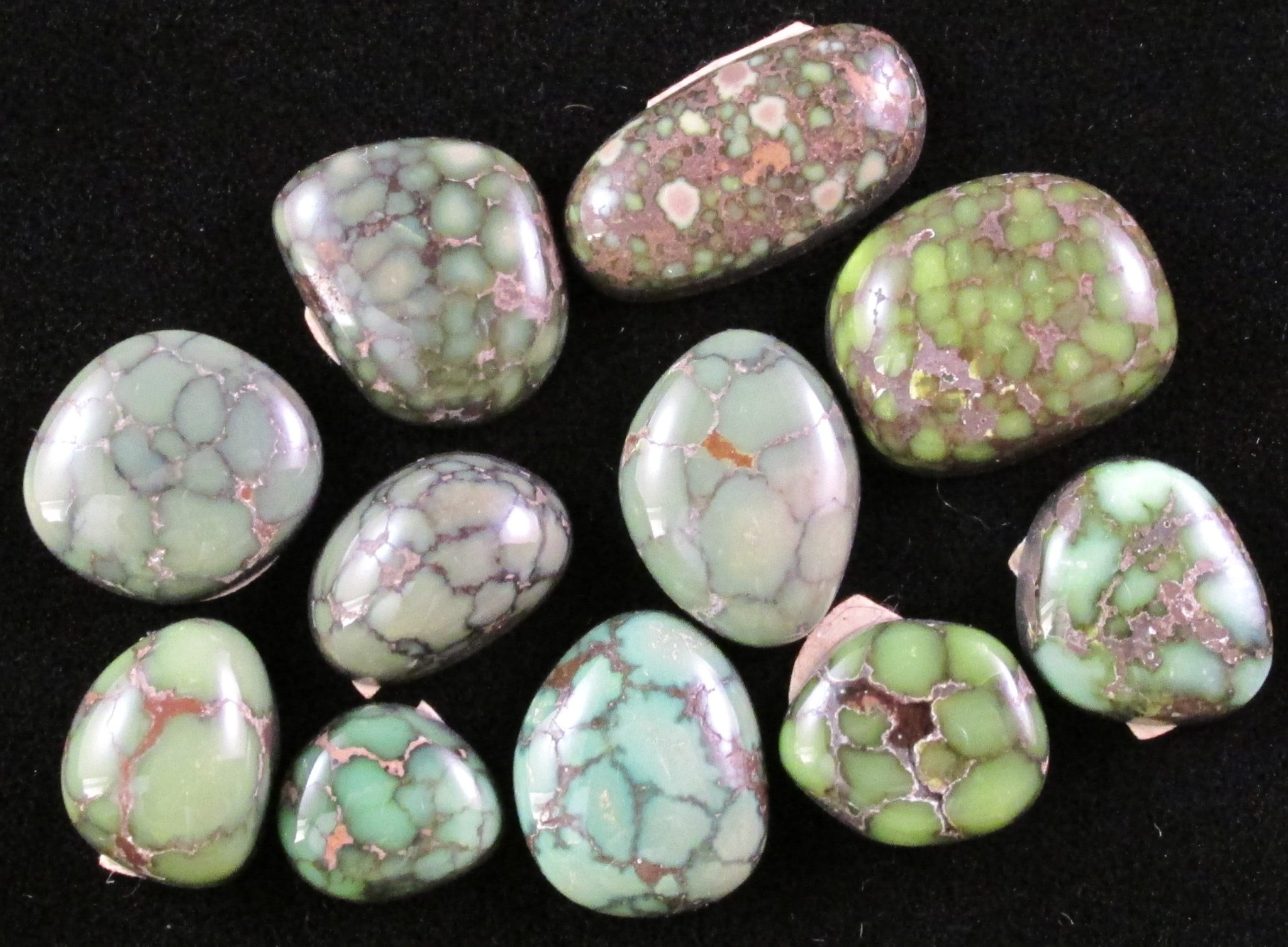 Damale Turquoise Cabochons in Turquoise Land