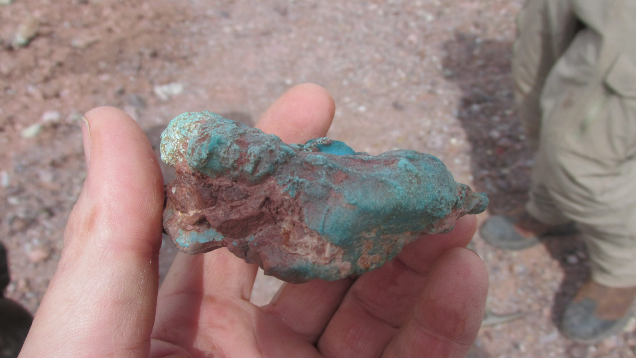 Bisbee Turquoise Specimen Found April 28, 2017